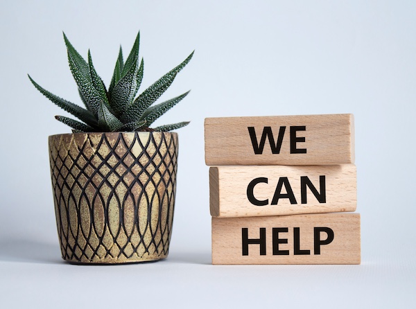 Potted succulent beside the words “We can help,” symbolizing hope and supportive guidance for families seeking help